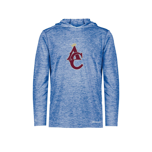 [FOLHCGRY-AS-LOGO1] Decker Men's Charge Hoodie (Adult S, Royal, Logo 1)